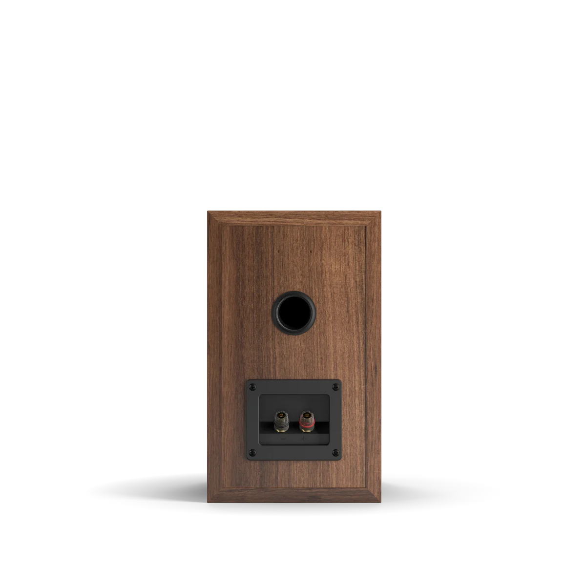 SPEKTOR 2 | Bass beyond its size | DALI Speakers